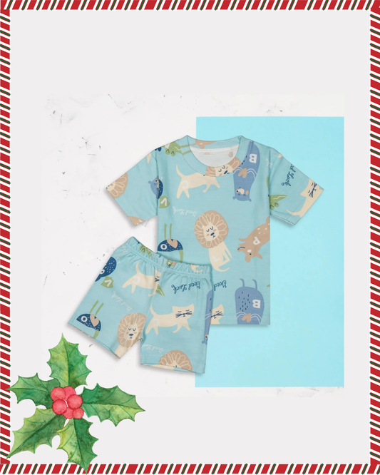 Kids Sky Blue Cat Printed Co-Ord Set